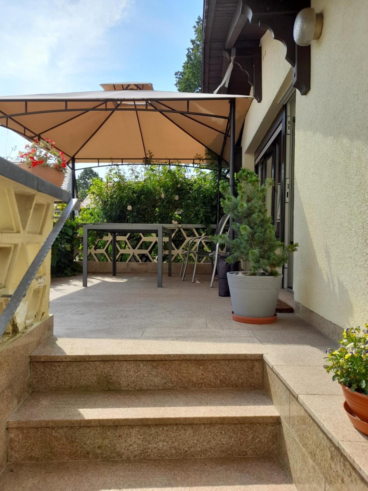 Wolfsbergblick Apartamento Reinhardtsdorf-Schona Exterior foto