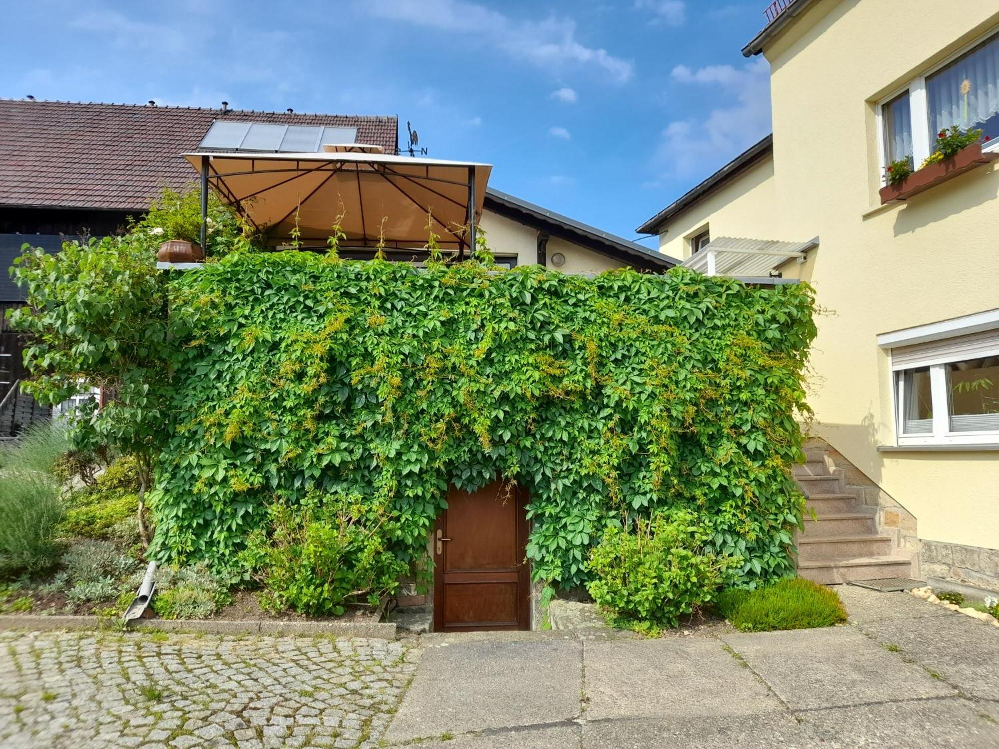Wolfsbergblick Apartamento Reinhardtsdorf-Schona Exterior foto